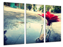 Tríptico flor en una botella, amor, reflejo charco
