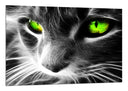 Cuadro gato neon, ojos verdes, animal