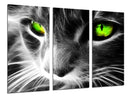 Tríptico gato neon, ojos verdes, animal