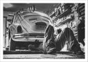 Lámina coche vintage, escarabajo, Volkswagen, blanco y negro