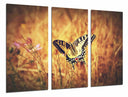 Tríptico Mariposa Blanca y Negra, Naturaleza