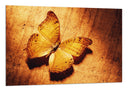 Cuadro mariposa, otoño, tonos ocres, animal, naturaleza