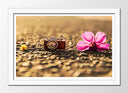 Cuadro enmarcado blanco camara vintage, flor, romantico, sepia, vintage