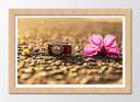 Cuadro enmarcado natural camara vintage, flor, romantico, sepia, vintage