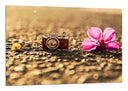 Cuadro camara vintage, flor, romantico, sepia, vintage