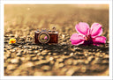 Lámina camara vintage, flor, romantico, sepia, vintage