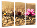Tríptico camara vintage, flor, romantico, sepia, vintage