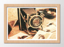 Cuadro enmarcado natural camara vintage, antiguo, sepia, fotografia