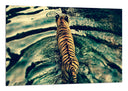 Cuadro tigre de vengala en el rio, salvaje, animal, naturaleza