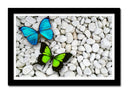 Cuadro enmarcado negro mariposa verde y azul en fondo de piedra