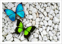 Lámina mariposa verde y azul en fondo de piedra