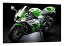 Cuadro Moto Kawasaki ZX-10R, Verde, Carretera
