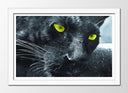 Cuadro enmarcado blanco pantera negra, jaguar, animal, salvaje