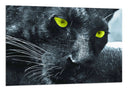 Cuadro pantera negra, jaguar, animal, salvaje