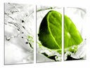 Tríptico lima en agua, verde, citrico