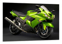 Cuadro Moto Kawasaki Verde, Carretera, Motorista
