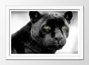 Cuadro enmarcado blanco pantera negra, ojos verdes, jaguar, salvaje, animal