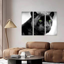 Estancia pantera negra, ojos verdes, jaguar, salvaje, animal