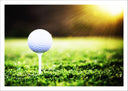 Lámina pelota de golf, campo de golf, soporte