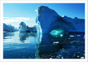 Lámina iceberg en el mar, tonos frios,hielo, oceano