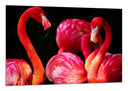 Cuadro flamencos sobre fondo negro, rosa, animal, salvaje, naturaleza