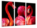 Tríptico flamencos sobre fondo negro, rosa, animal, salvaje, naturaleza