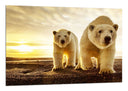 Cuadro pareja oso polar, atardecer, salvaje, naturaleza