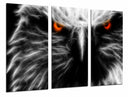 Tríptico aguila ojos rojos, salvaje, animal, naturaleza
