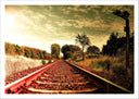 Lámina Paisaje Vias Tren vintage en Otono