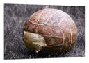 Cuadro Futbol, Balon Vintage