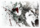 Lámina Lobo Salvaje Abstracto, Fondo Blanco