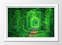 Cuadro enmarcado blanco Paisaje Vias Tren Fantasia, Hierba Verde,naturaleza