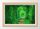 Cuadro enmarcado natural Paisaje Vias Tren Fantasia, Hierba Verde,naturaleza