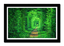 Cuadro enmarcado negro Paisaje Vias Tren Fantasia, Hierba Verde,naturaleza