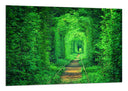 Cuadro Paisaje Vias Tren Fantasia, Hierba Verde,naturaleza