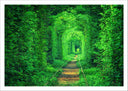 Lámina Paisaje Vias Tren Fantasia, Hierba Verde,naturaleza