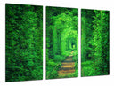 Tríptico Paisaje Vias Tren Fantasia, Hierba Verde,naturaleza