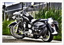 Lámina Moto Harley-Davidson