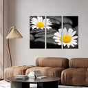 Estancia imagen margaritas sobre fondo de piedra,spa,relax,zen