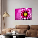 Decorarion Flor, Margarita Rosa