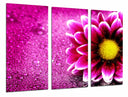 Tríptico Decorarion Flor, Margarita Rosa