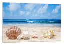 Cuadro paisaje conchas en la playa, arena mar, caracola