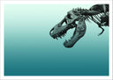 Lámina dinosaurio t-rex, esqueleto, arqueologia