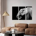 Estancia elefante blanco y negro , animal, decoracion
