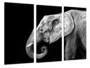 Tríptico elefante blanco y negro , animal, decoracion