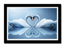 Cuadro enmarcado negro pareja de cisne, forma corazon, decoracion