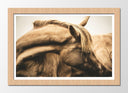 Cuadro enmarcado natural animal caballo marron, naturaleza