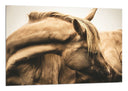 Cuadro animal caballo marron, naturaleza