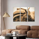 Estancia animal caballo marron, naturaleza