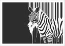 Lámina cebra en blanco y negro, animal, decoracion